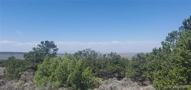 Lot 1412 Michaels Road Fort Garland, CO 81133