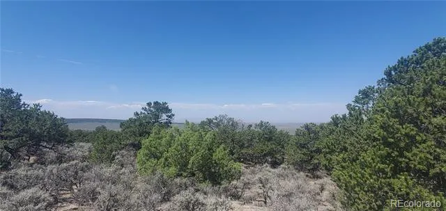 Lot 1412 Michaels Road Fort Garland, CO 81133