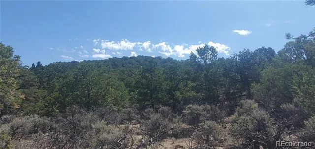Lot 1412 Michaels Road Fort Garland, CO 81133