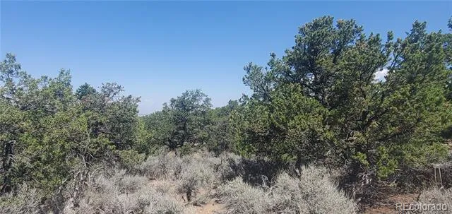 Lot 1412 Michaels Road Fort Garland, CO 81133