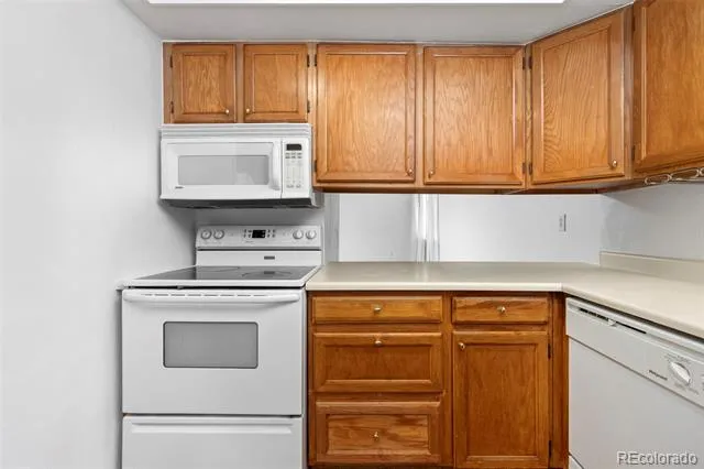 252 S Oman Road Castle Rock, CO 80104