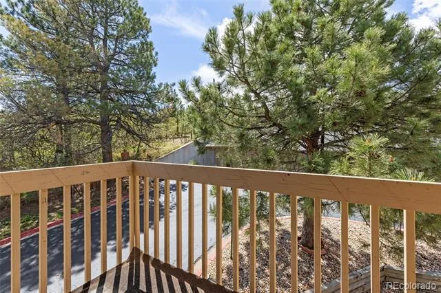 252 S Oman Road Castle Rock, CO 80104