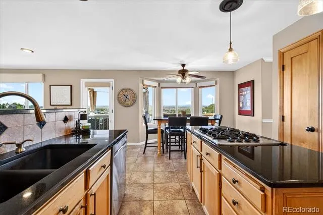 11267 Panorama Court Parker, CO 80138