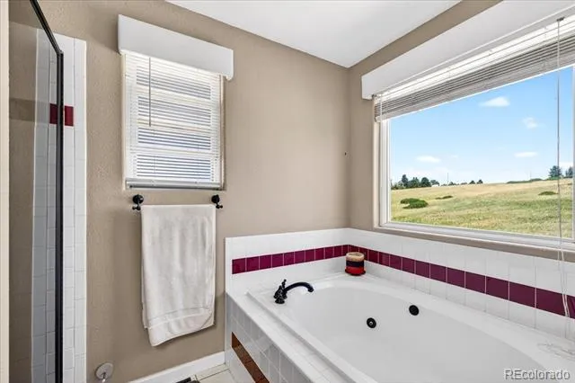 11267 Panorama Court Parker, CO 80138