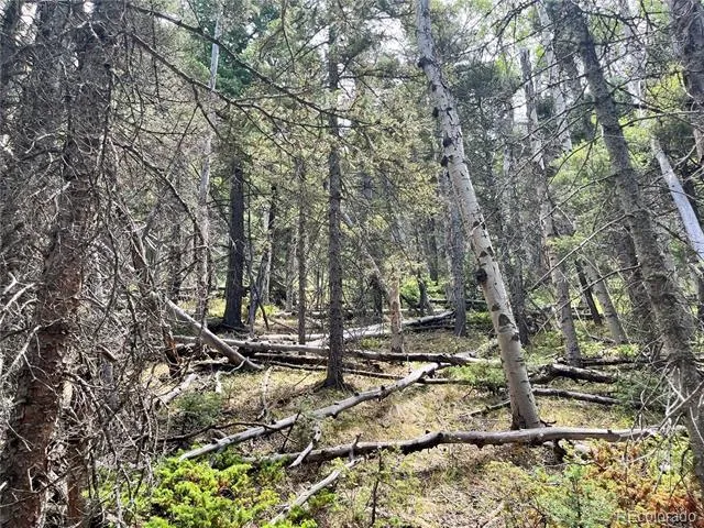 Highway 160 Fort Garland, CO 81133