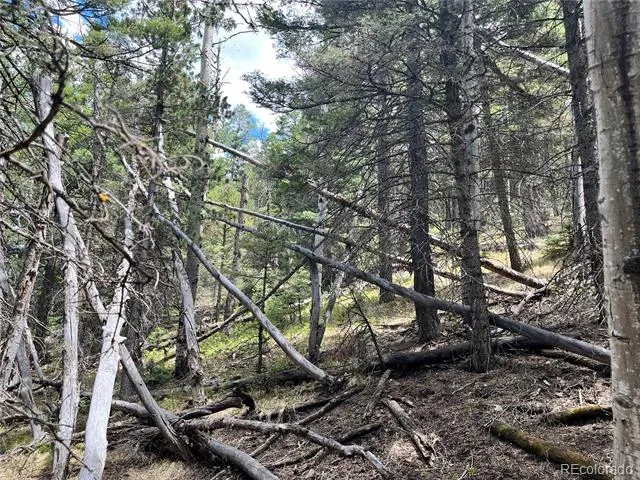 Highway 160 Fort Garland, CO 81133