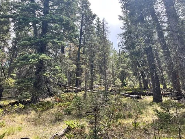 Highway 160 Fort Garland, CO 81133