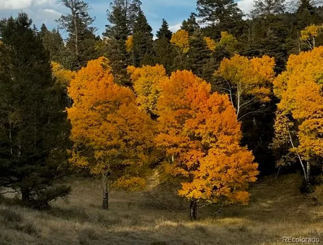 Highway 160 Fort Garland, CO 81133