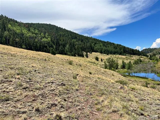 Highway 160 Fort Garland, CO 81133