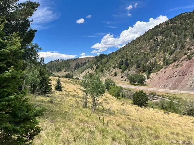 Highway 160 Fort Garland, CO 81133