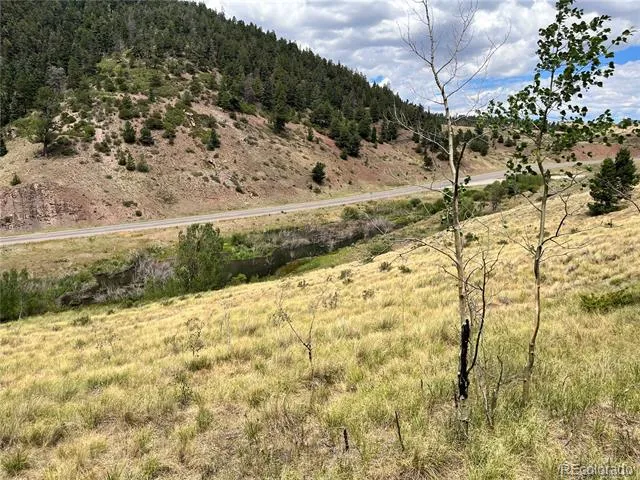 Highway 160 Fort Garland, CO 81133