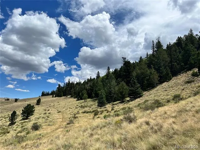 Highway 160 Fort Garland, CO 81133