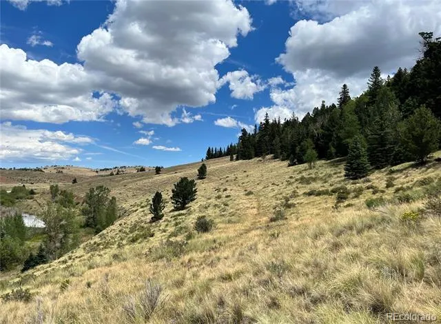Highway 160 Fort Garland, CO 81133
