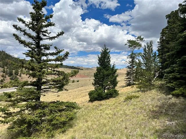 Highway 160 Fort Garland, CO 81133