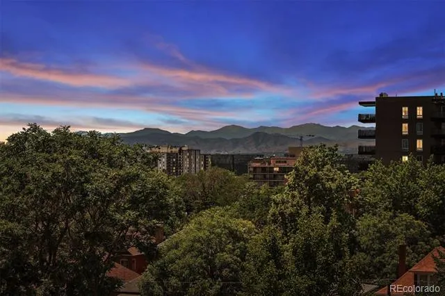 1050 Lafayette Street #108 Denver, CO 80218
