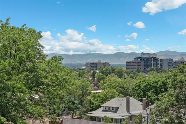 1050 Lafayette Street #108 Denver, CO 80218