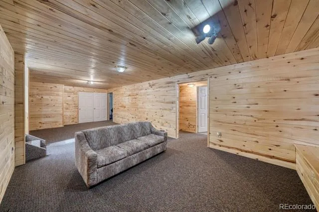 31015 West Ridge Road Buena Vista, CO 81211