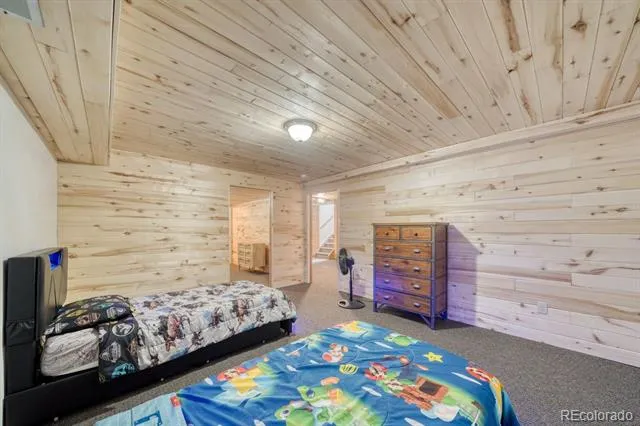 31015 West Ridge Road Buena Vista, CO 81211