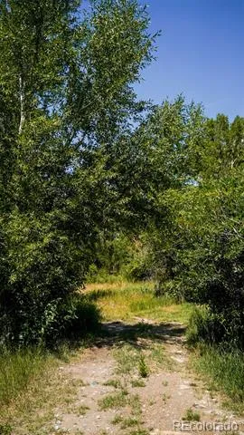 8116 Fawn Run Salida, CO 81201