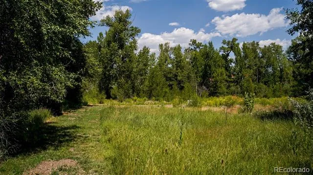 8116 Fawn Run Salida, CO 81201