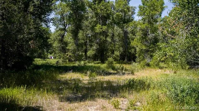 8116 Fawn Run Salida, CO 81201