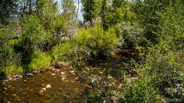 8116 Fawn Run Salida, CO 81201