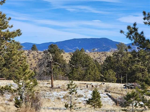 671 Oak Street Hartsel, CO 80449