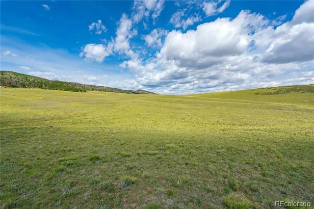 635 Hereford Drive Hartsel, CO 80449
