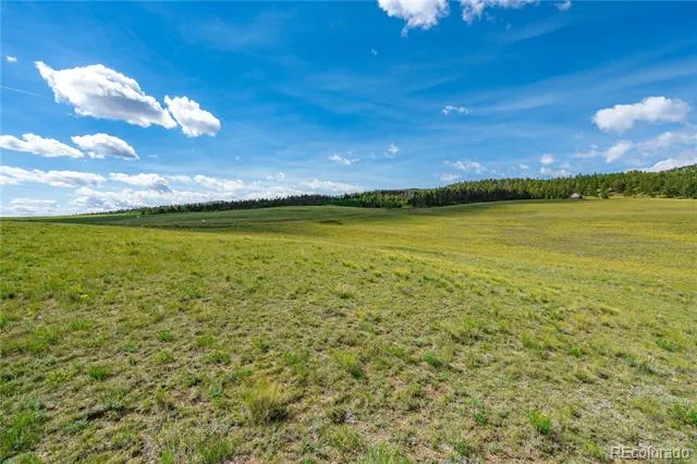 635 Hereford Drive Hartsel, CO 80449
