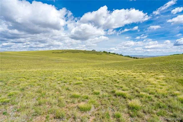 635 Hereford Drive Hartsel, CO 80449