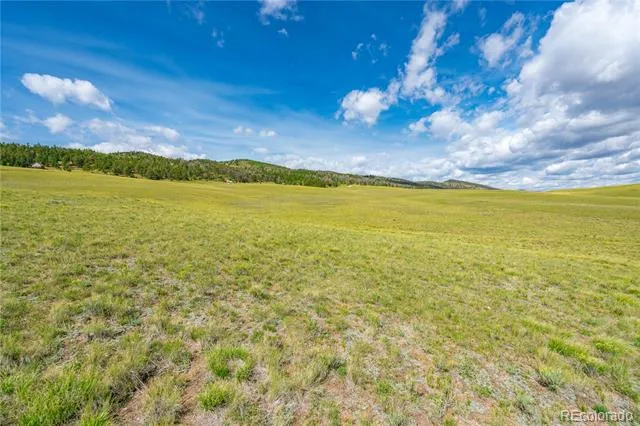 635 Hereford Drive Hartsel, CO 80449