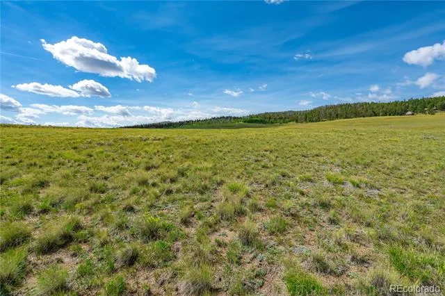 635 Hereford Drive Hartsel, CO 80449