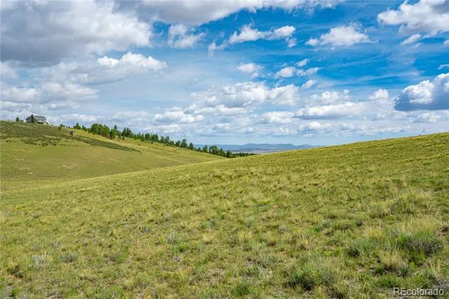 635 Hereford Drive Hartsel, CO 80449
