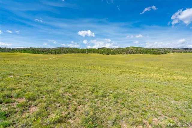 635 Hereford Drive Hartsel, CO 80449