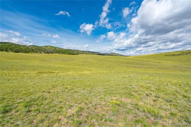 635 Hereford Drive Hartsel, CO 80449