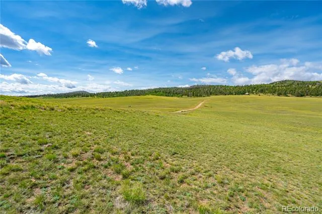 635 Hereford Drive Hartsel, CO 80449