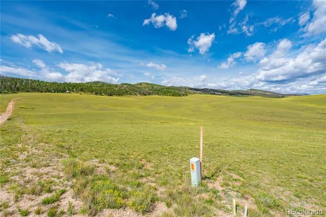 635 Hereford Drive Hartsel, CO 80449
