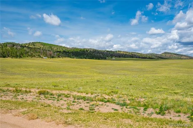 635 Hereford Drive Hartsel, CO 80449