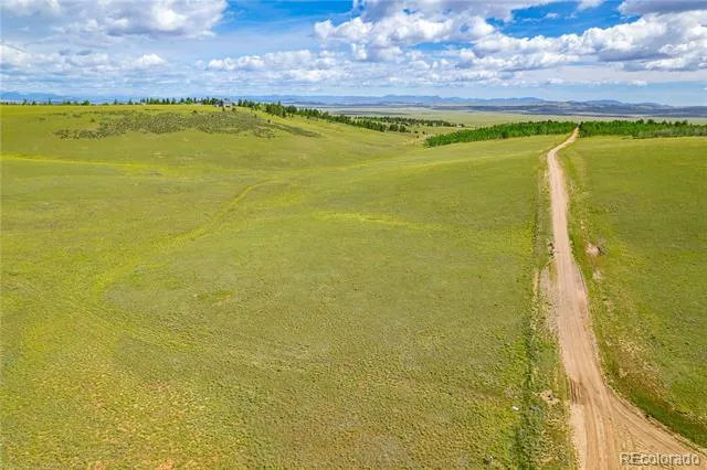 635 Hereford Drive Hartsel, CO 80449
