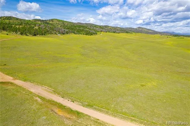 635 Hereford Drive Hartsel, CO 80449