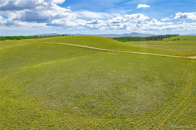 635 Hereford Drive Hartsel, CO 80449