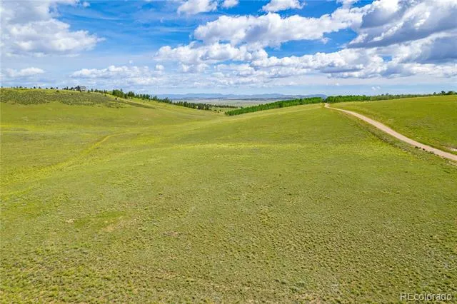 635 Hereford Drive Hartsel, CO 80449
