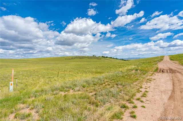 635 Hereford Drive Hartsel, CO 80449