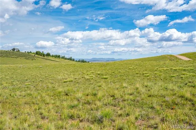 635 Hereford Drive Hartsel, CO 80449