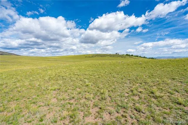 635 Hereford Drive Hartsel, CO 80449