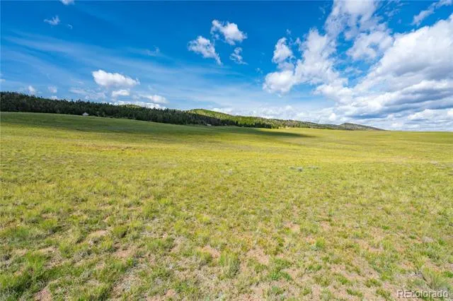 635 Hereford Drive Hartsel, CO 80449