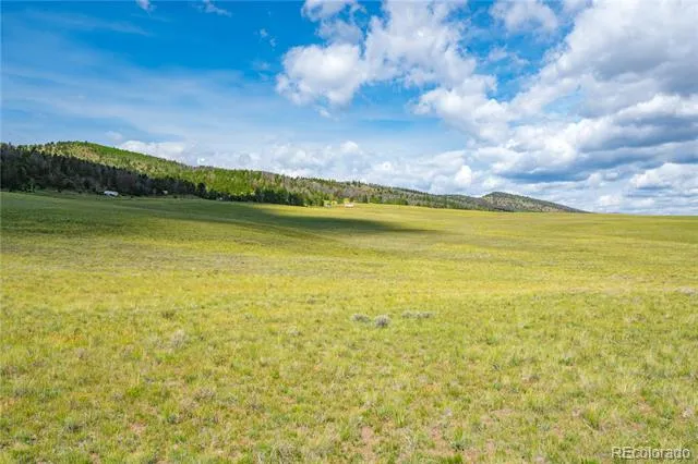 635 Hereford Drive Hartsel, CO 80449