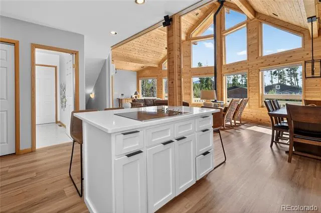 17 County Road 4435 Grand Lake, CO 80447