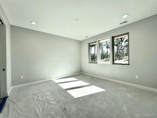 3155 Promise Point Colorado Springs, CO 80921