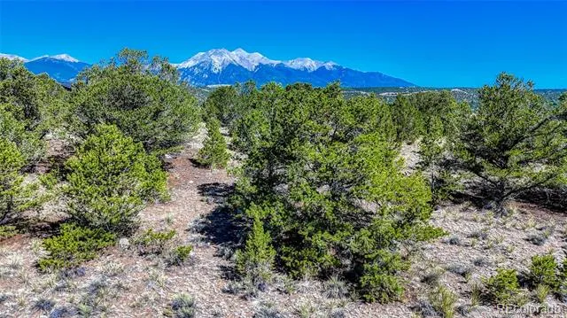 7382 Heavenly View Parkway Salida, CO 81201